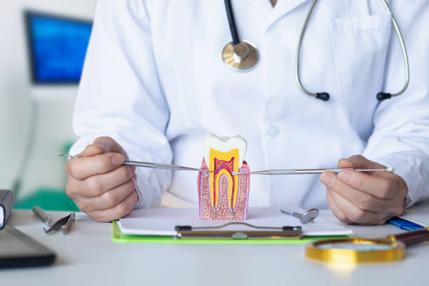 Best Emergency Dental Care for Abscessed Tooth in Lake Grove, NY